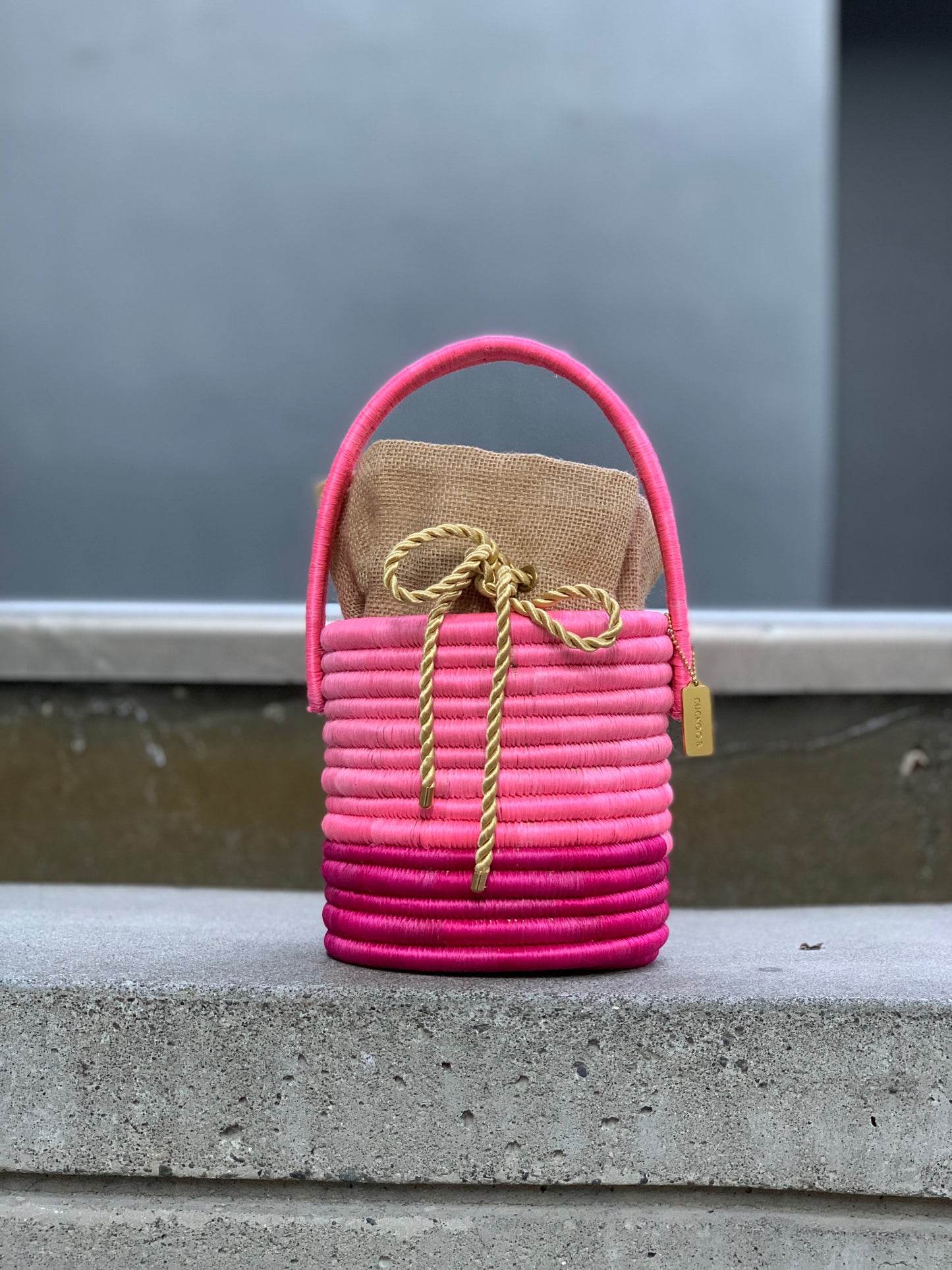 Bolso Leandra rosa